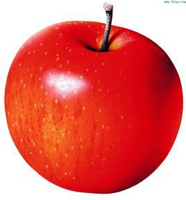 蘋果入饌 蘋果入饌