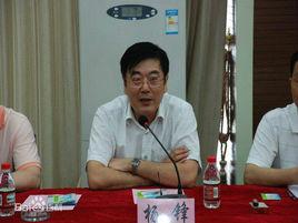 楊鋒[合肥市委統戰部副部長]