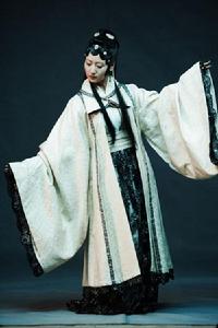 <<紅樓夢>>[2010年李少紅執導的古裝情感劇]