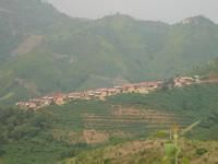 石家一隊村 石家一隊村