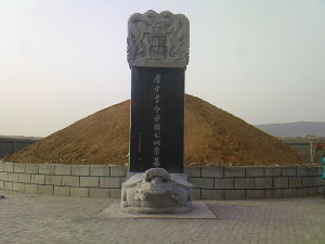 唐中書令姚崇墓