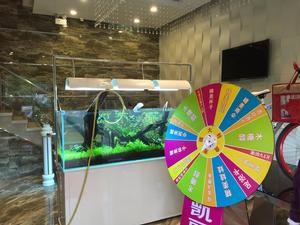 迪茨[浙江台州家居品牌]