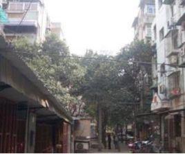 三條巷社區 三條巷社區