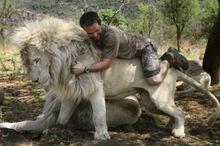“獅子大使”