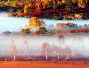 木蘭圍場國家森林公園