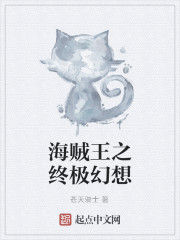 海賊王之終極幻想 海賊王之終極幻想