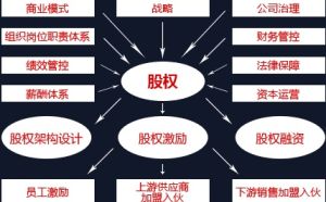 股權激勵 股權激勵