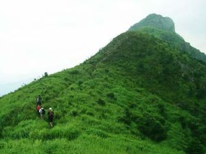 白雲嶂森林公園 白雲嶂森林公園