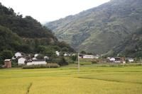 合江自然村 合江自然村