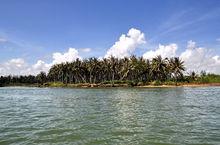 椰子洲島風光