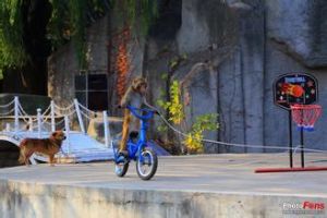 吳橋雜技大世界