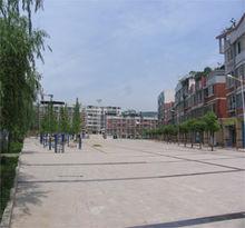 龍沙鎮[重慶萬州區龍沙鎮]