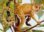 世紀曙猿 世紀曙猿