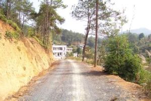 馬衝口街街道 馬衝口街街道