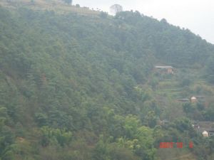 黃鸝窩村 黃鸝窩村