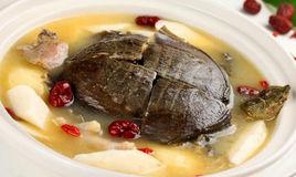 鱉肉豬肚湯 鱉肉豬肚湯