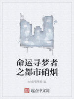 命運尋夢者之都市硝煙 命運尋夢者之都市硝煙