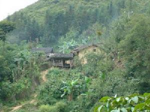 七灣自然村 七灣自然村