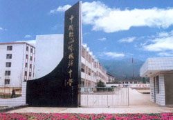 雲和縣梅源中學 雲和縣梅源中學