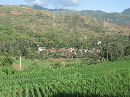 栗樹箐村 栗樹箐村