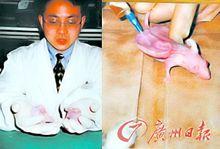 2001年丁小邦在曹誼林指導下構建的人耳模型