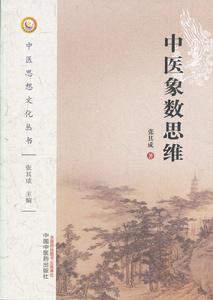 中醫象數思維 中醫象數思維