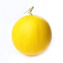 品金紅3號 品金紅3號