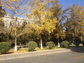 感覺溫度 感覺溫度