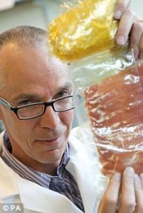 能食品包裝袋 能食品包裝袋