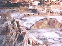 武莊遺址 武莊遺址