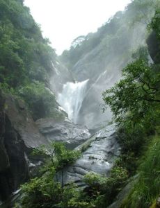 廬山山南國家森林公園 廬山山南國家森林公園