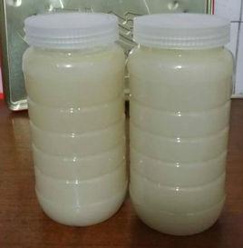 黃山枇杷蜜 黃山枇杷蜜