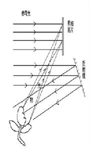 （圖）全息照相