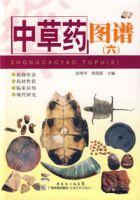中草藥圖譜(六) 中草藥圖譜(六)