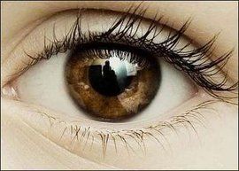 人老珠黃 人老珠黃