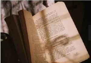 集郵式閱讀 集郵式閱讀