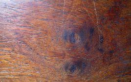 大果紫檀 大果紫檀