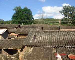 小芒竜自然村 小芒竜自然村