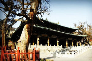 晉祠之謎 晉祠之謎