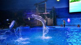 海洋公園[大連海洋公園地產]