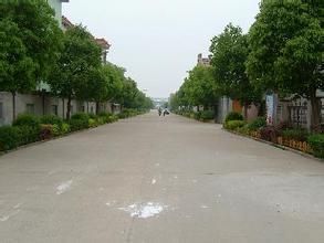 新屯南村 新屯南村