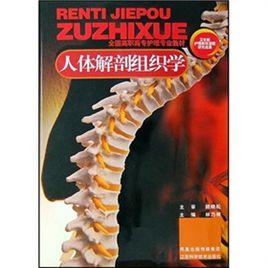 人體解剖組織學 人體解剖組織學