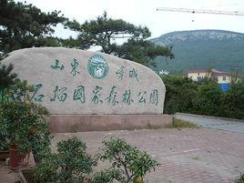 山東嶧城古石榴國家森林公園 山東嶧城古石榴國家森林公園