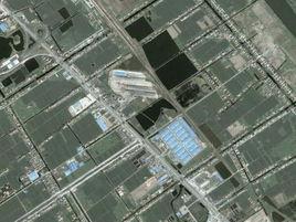 新洋街道 新洋街道