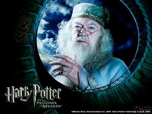《哈利·波特與阿茲卡班的囚徒》