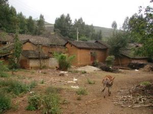 王家村自然村 王家村自然村