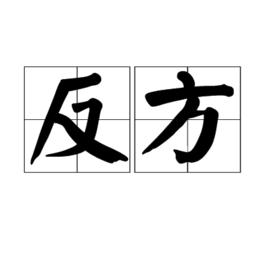 反方 反方