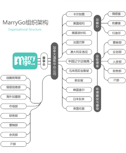 邁瑞高組織構架