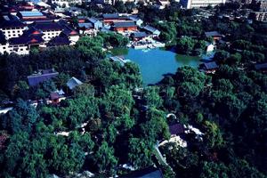 紅樓文化藝術博物館