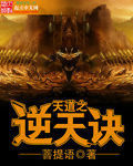 天道之逆天訣 天道之逆天訣